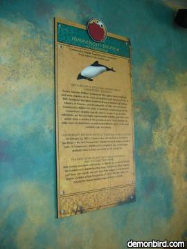 commerson dolphin sign